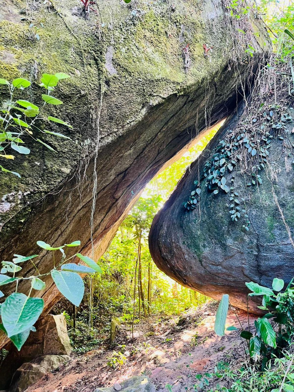 Pousada E Restaurante Alto Da Serra Bonito  Exteriör bild
